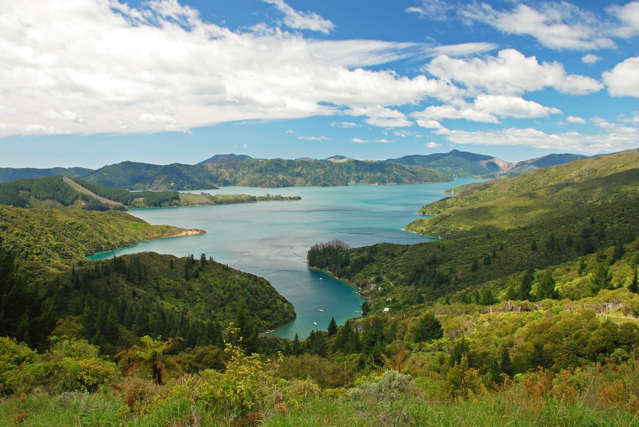 Queen_Charlotte_Sound_final.jpeg