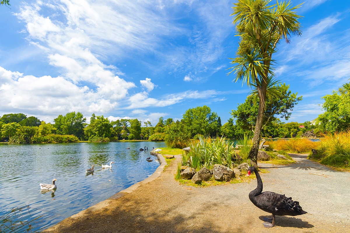 Western_Springs_park_with_playground_and_duck_pond_(1).jpg