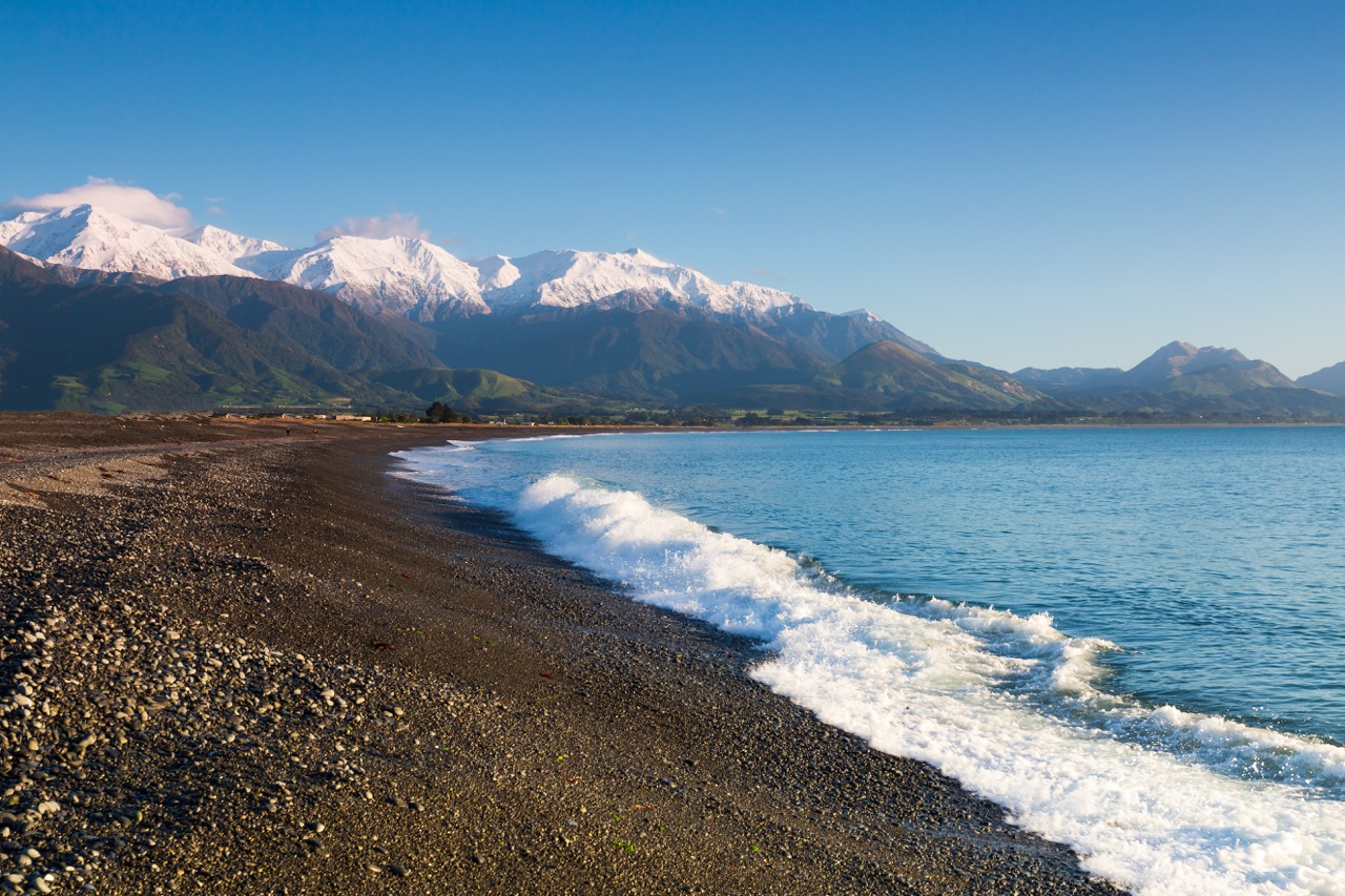 final Kaikoura Coast with Sperm Whales.jpeg