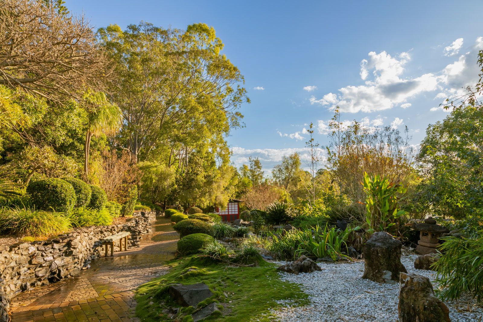 Exploring Bundaberg Botanic Gardens