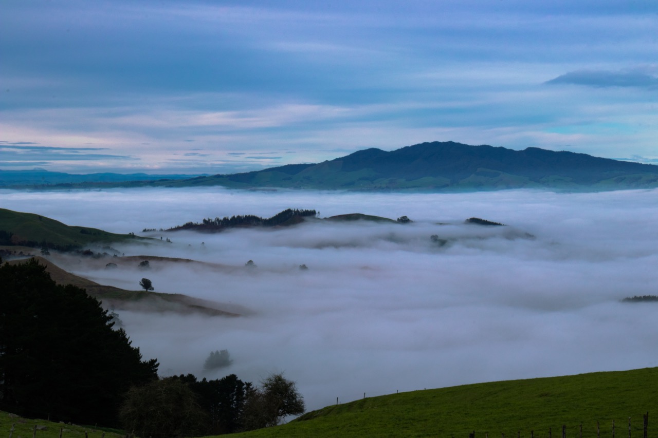 Final_Sanctuary_Mountain_Maungatautari.jpeg