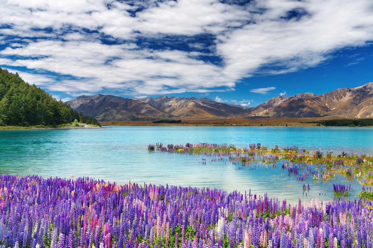 final_lake tekapo.jpeg