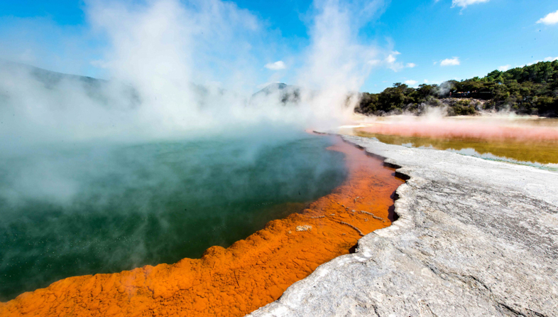 Rotorua_shutterstock_531037615_786x446.jpeg