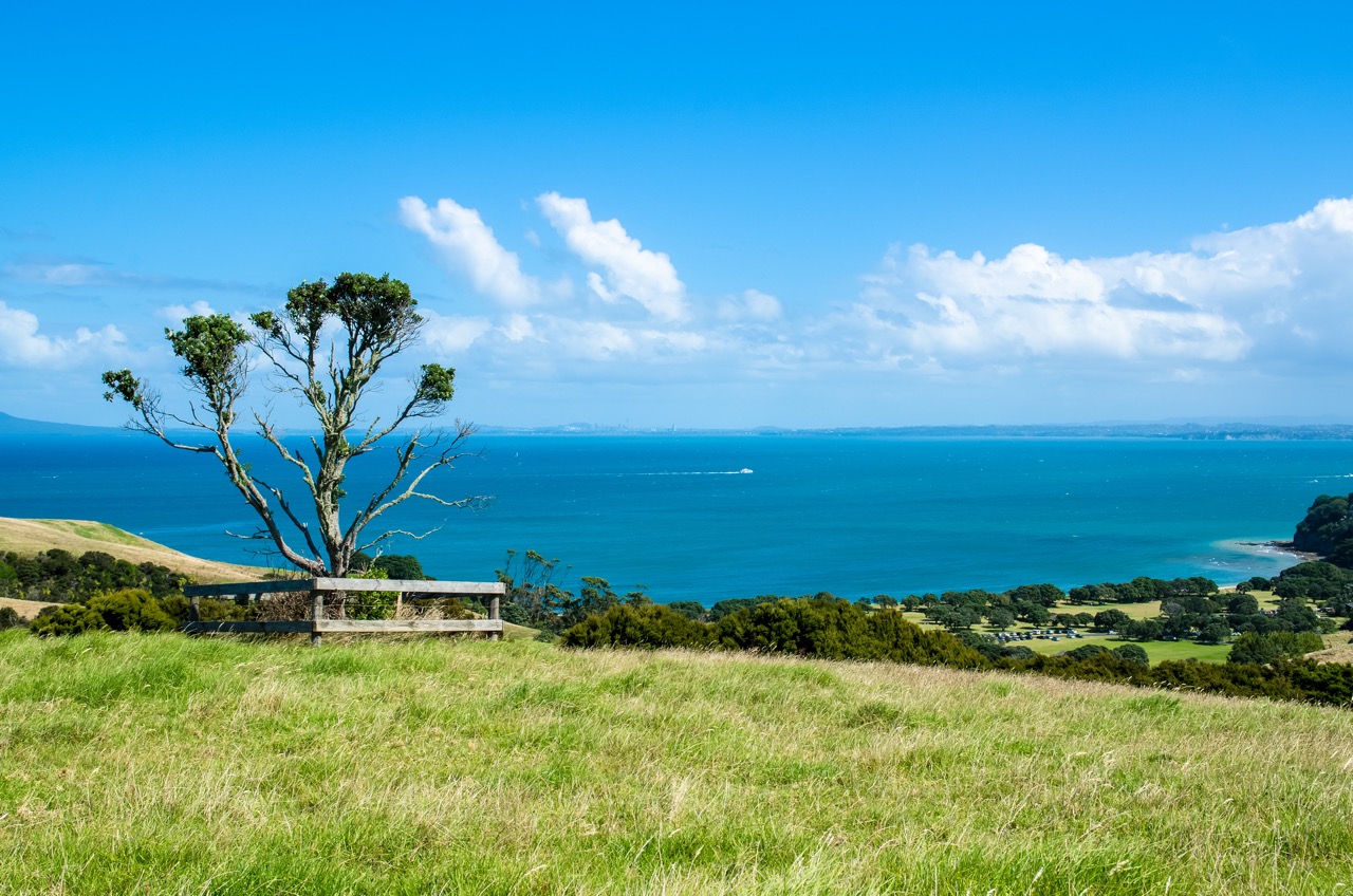 compressed_shakespear_park.jpeg