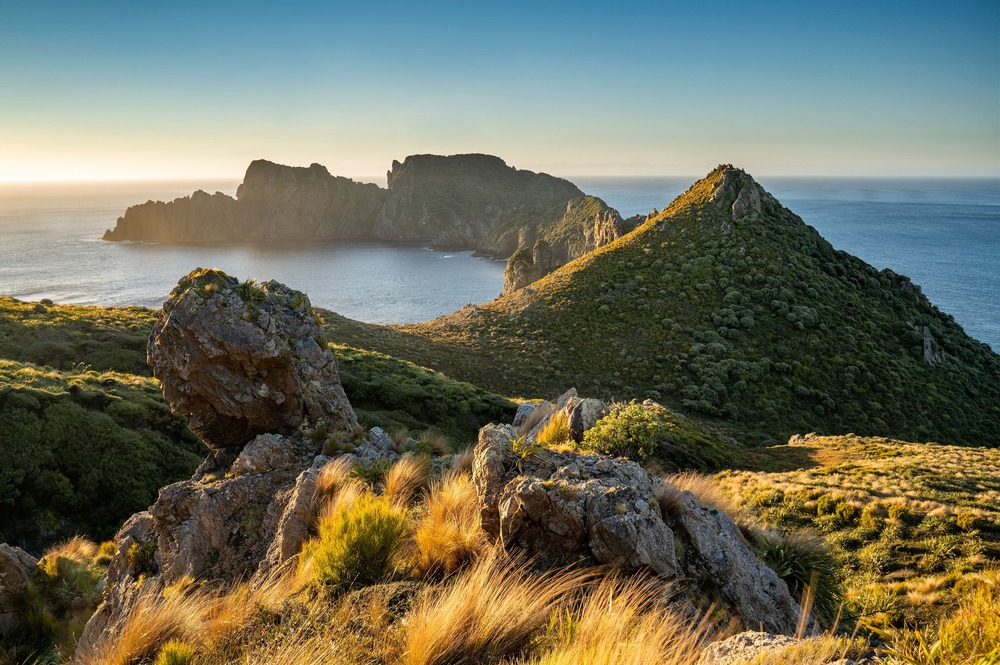 Spending a Day in Stewart Island: Top Things to Do