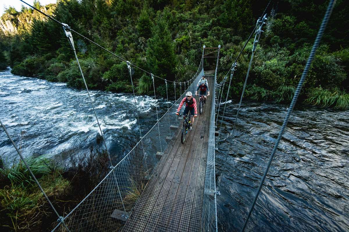 Family Cycling Routes Around Lake Taupo: A Guide for All Ages and Budgets