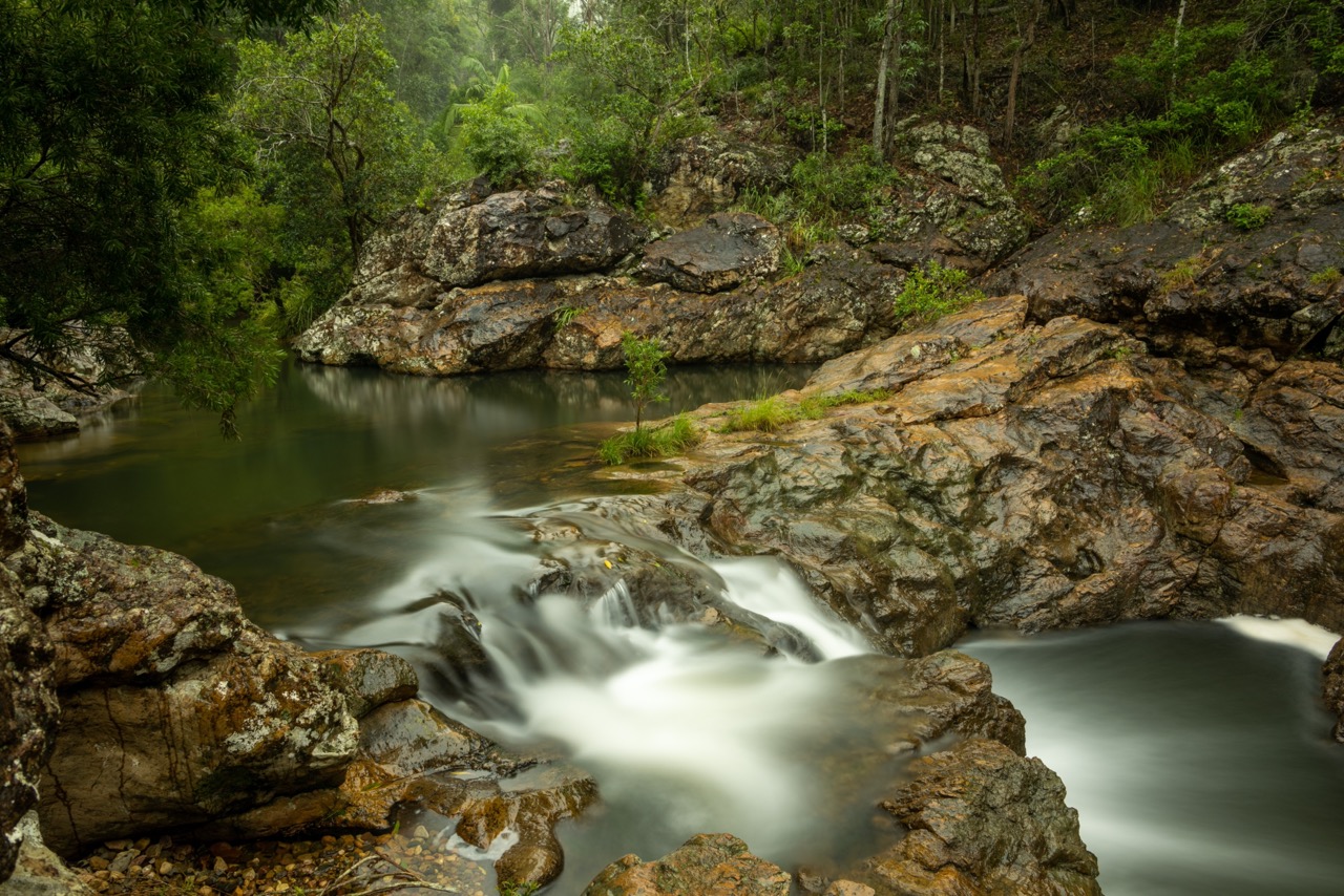 final_D’Aguilar_National_Park.jpeg