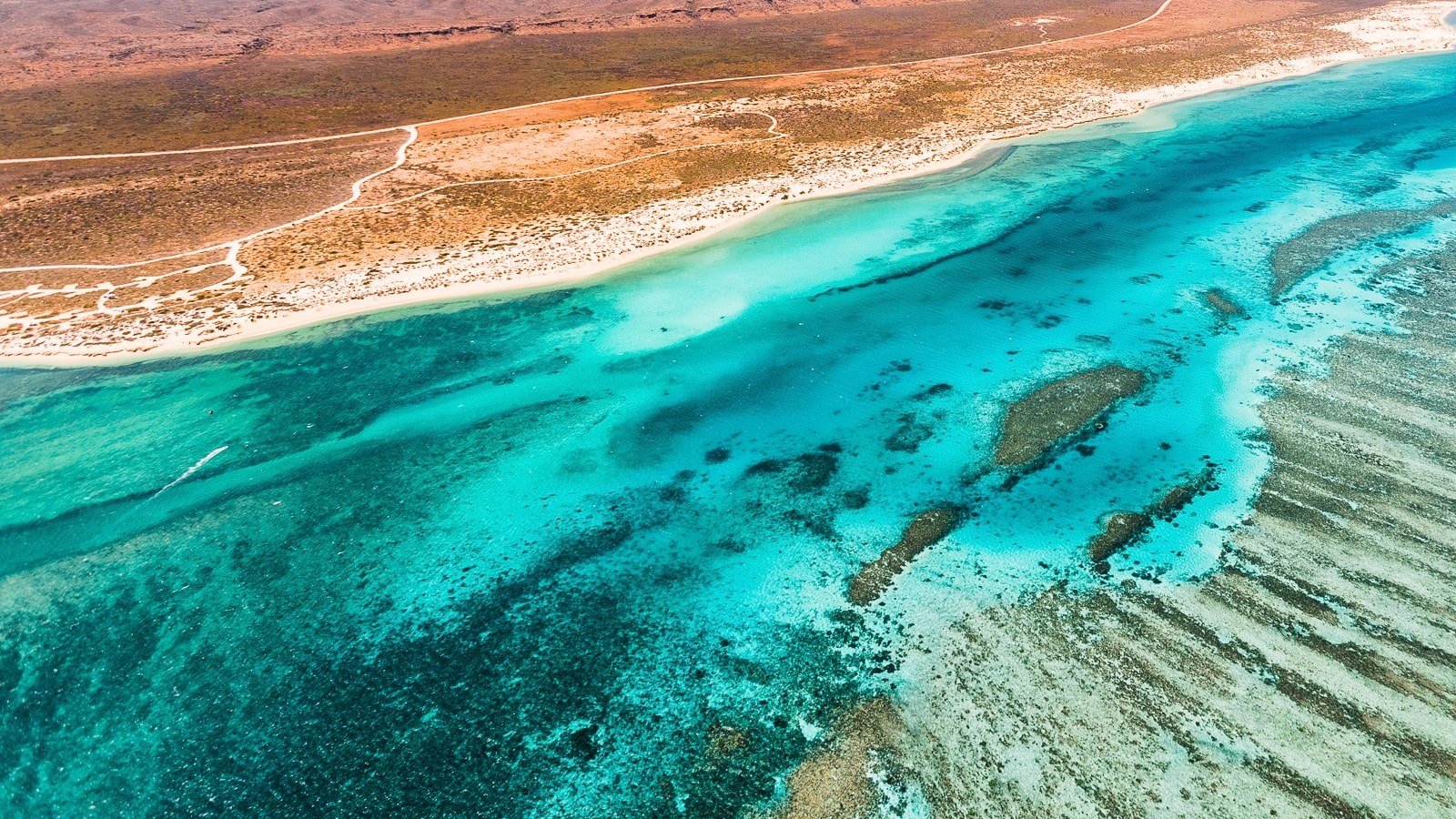 Ningaloo-Reef-Exmouth-Western-Australia-Scuba-Diving-Banner.jpg