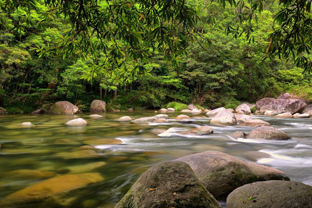The Best National Parks Around Cairns