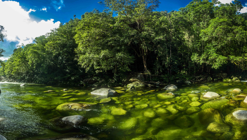 Mossman Gorge_shutterstock_633404828_786x446.jpeg