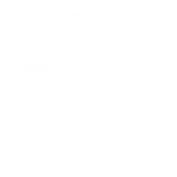 Altizer
