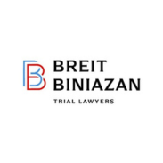 Breit Biniazan, PC Logo