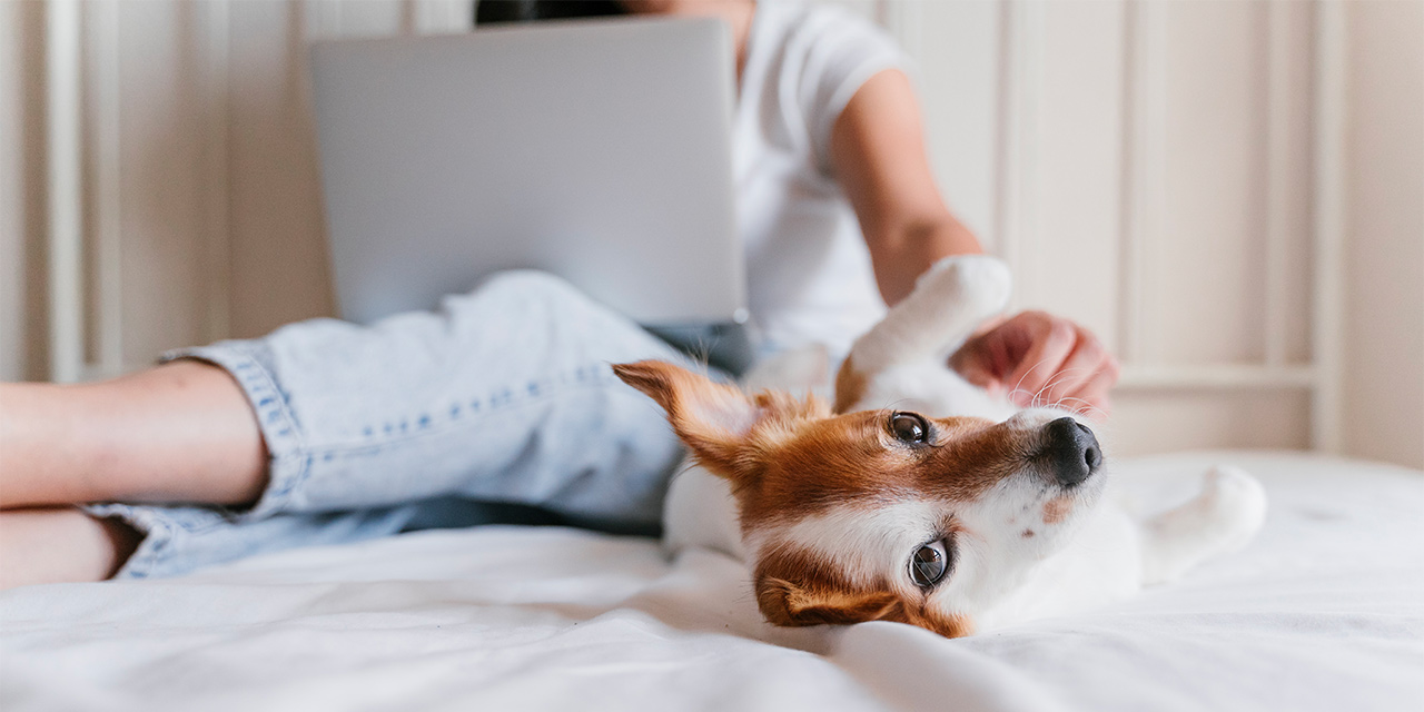 Woman relaxing on bed next to her pet dog