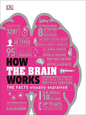 Available Title: How the Brain Works: The Facts Visually Explained
