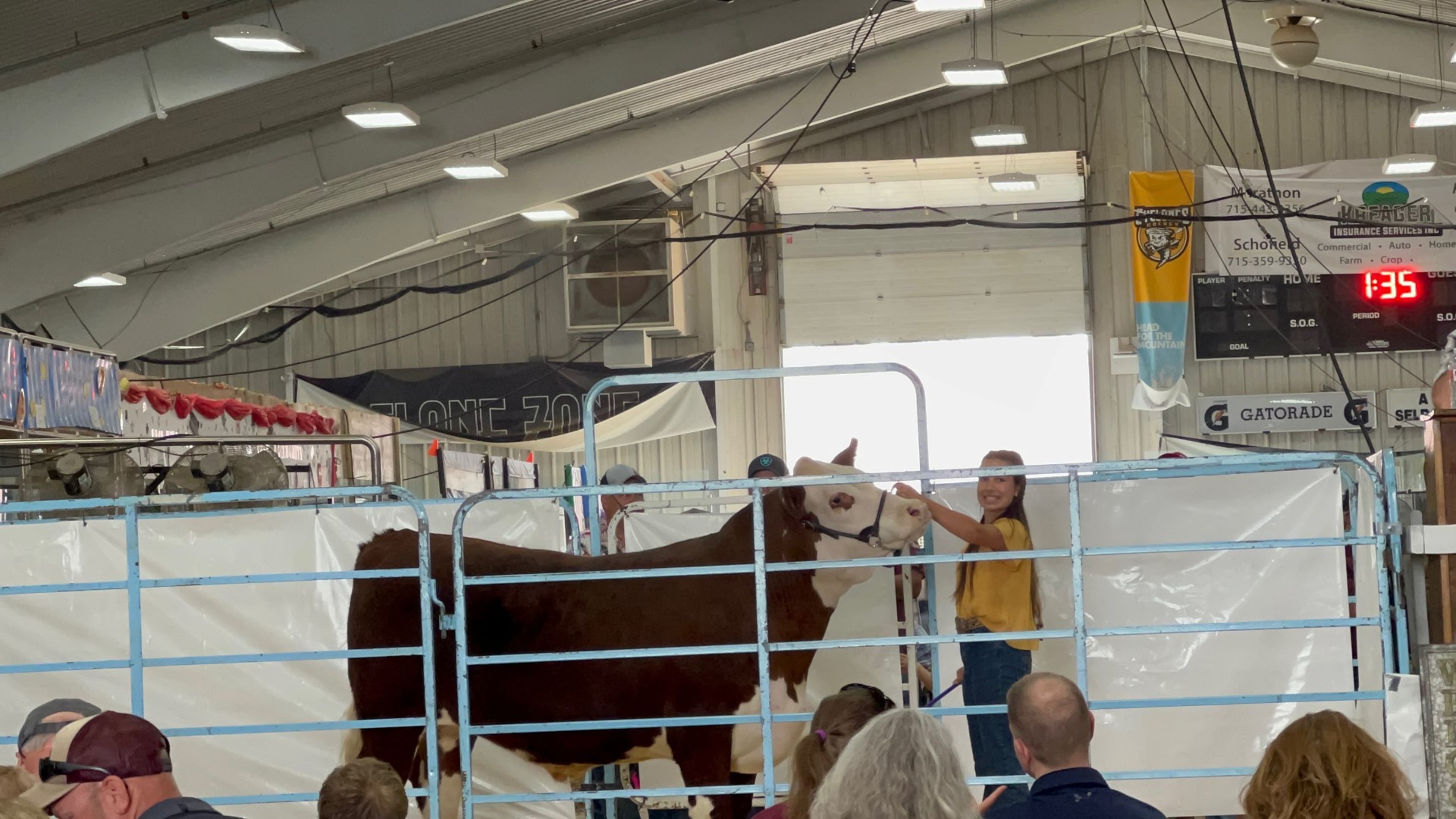 Stonemark Wind sponsors Wisconsin Valley Fair Animal Show & Sale