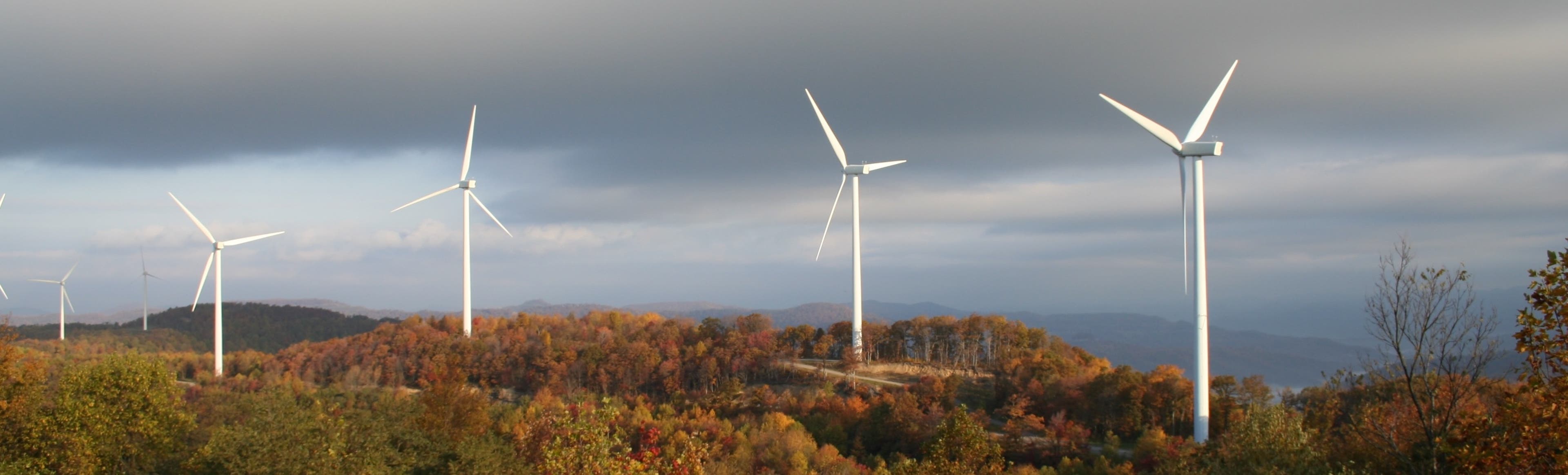 Buffalo_Mountain_13.jpg