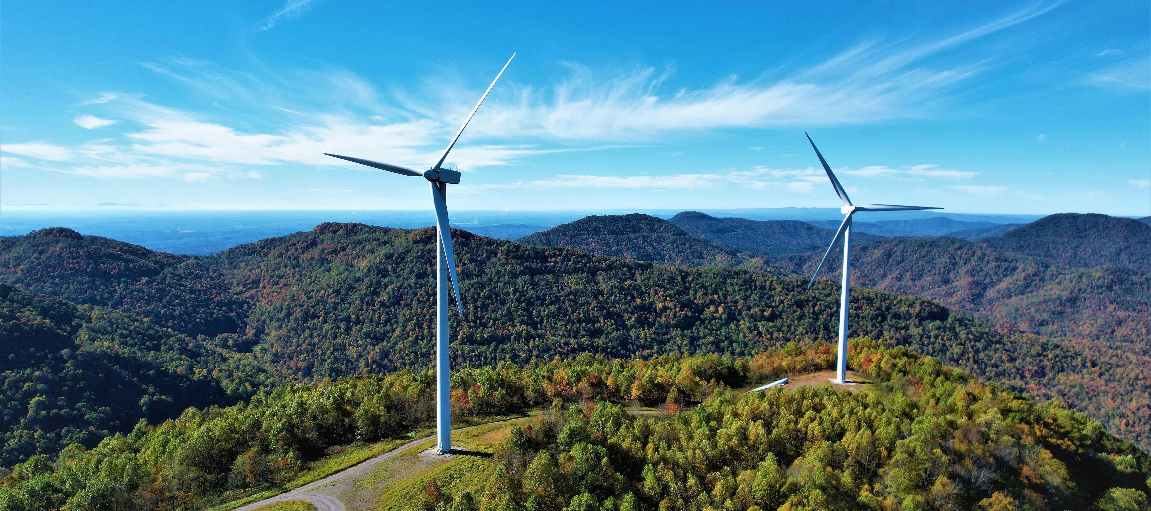 Buffalo_Mountain_02_cropped.jpg