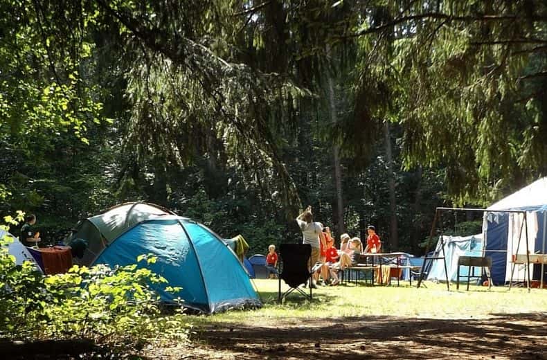 Camping Card International,.all you need to know | RAC Drive