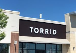 torrid landing page.jpg