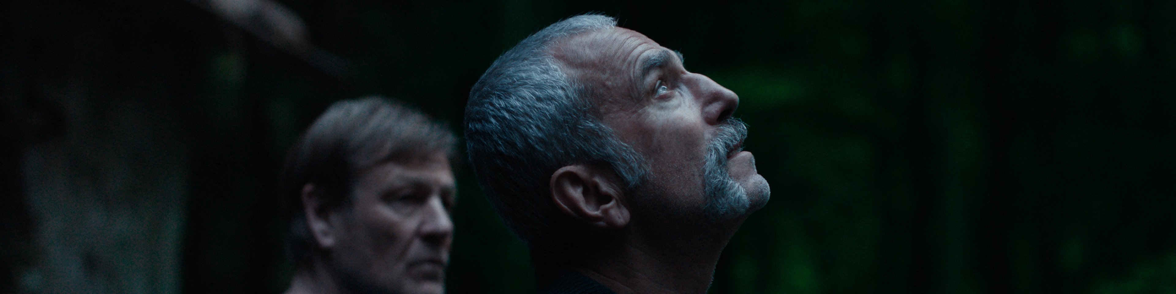 Anemone Video Marquee.jpg