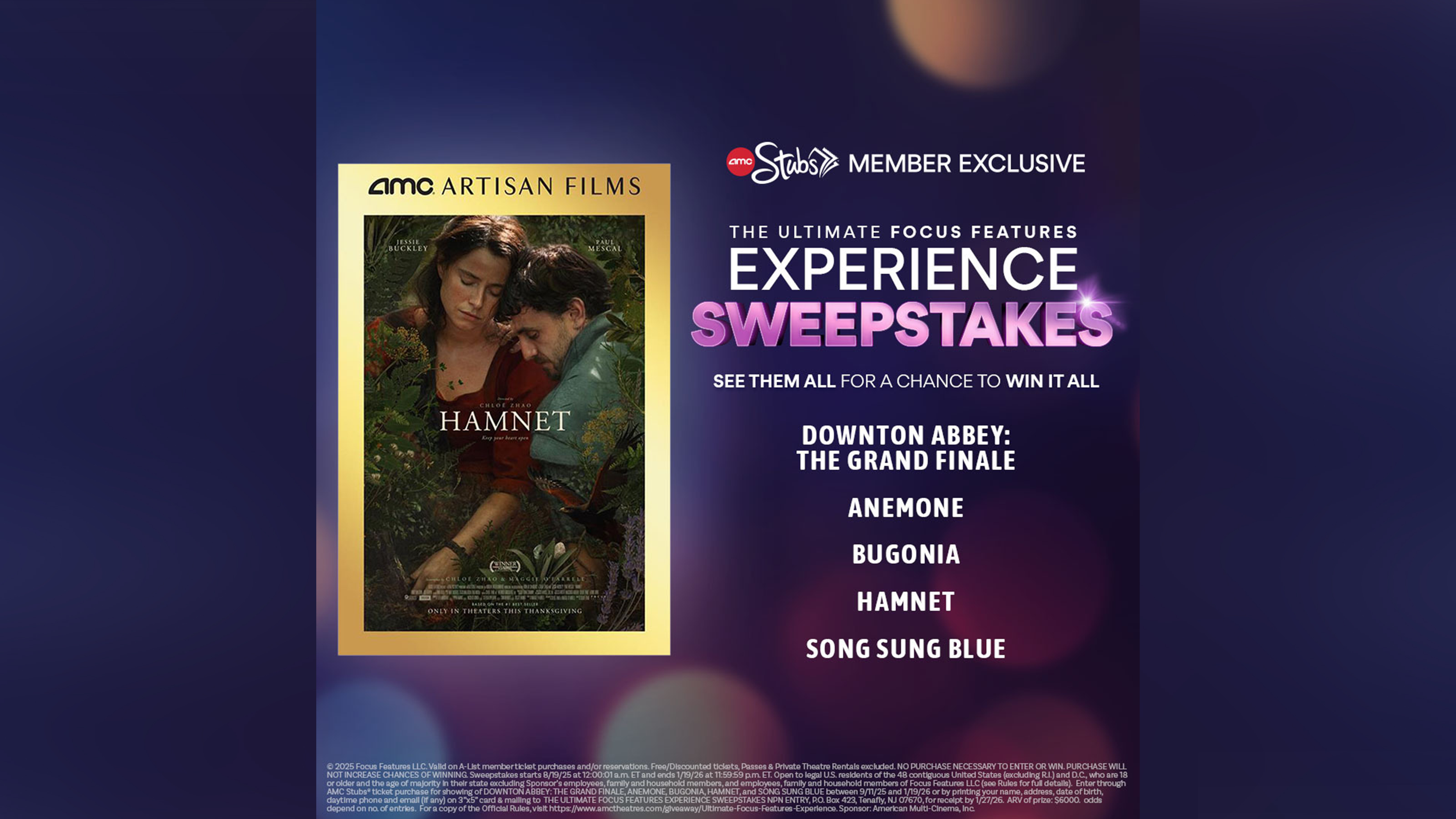 Hamnet AMC Promo.png