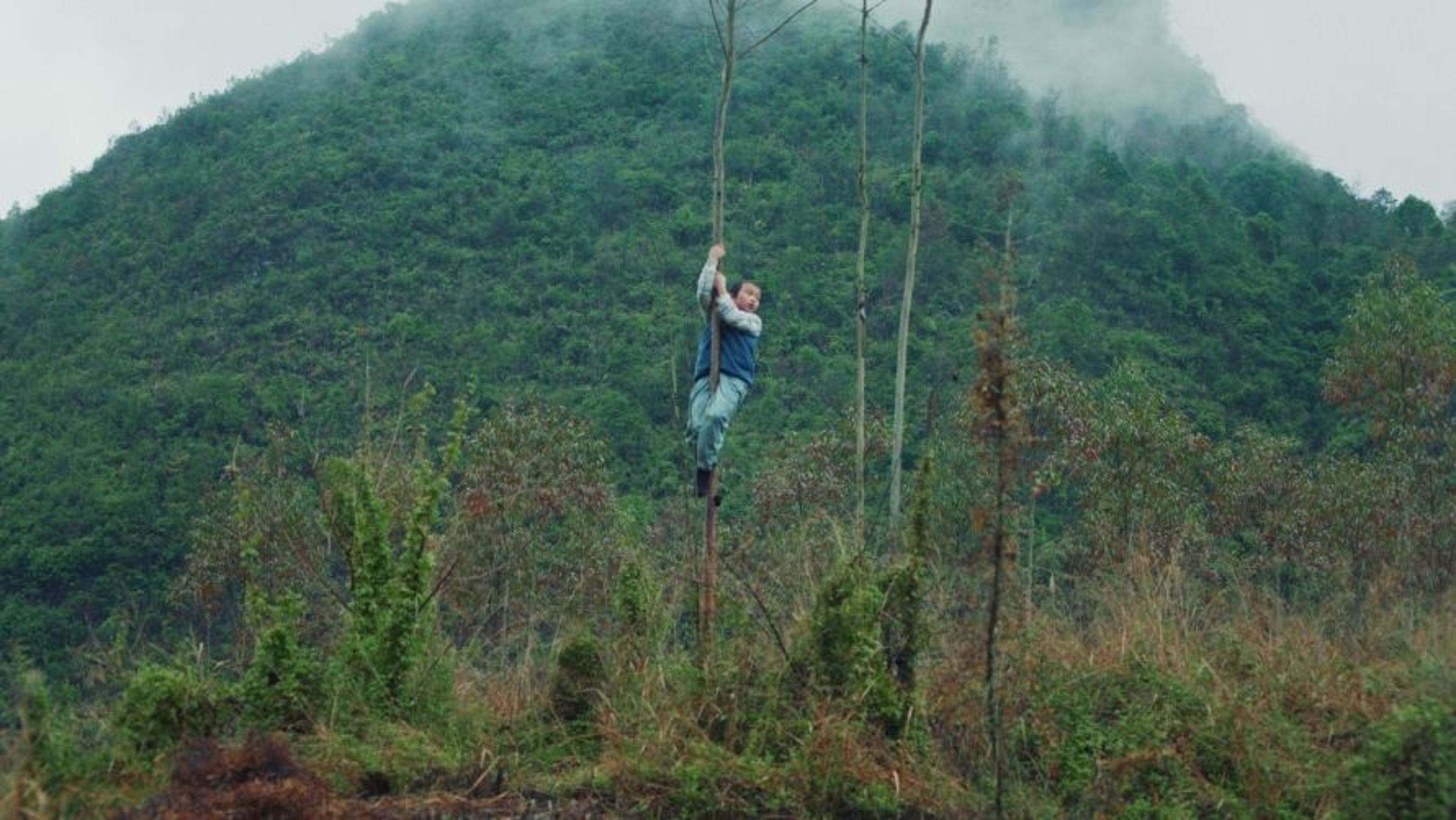 Xiaohui and His Cows_Jinhao Wei.jpg