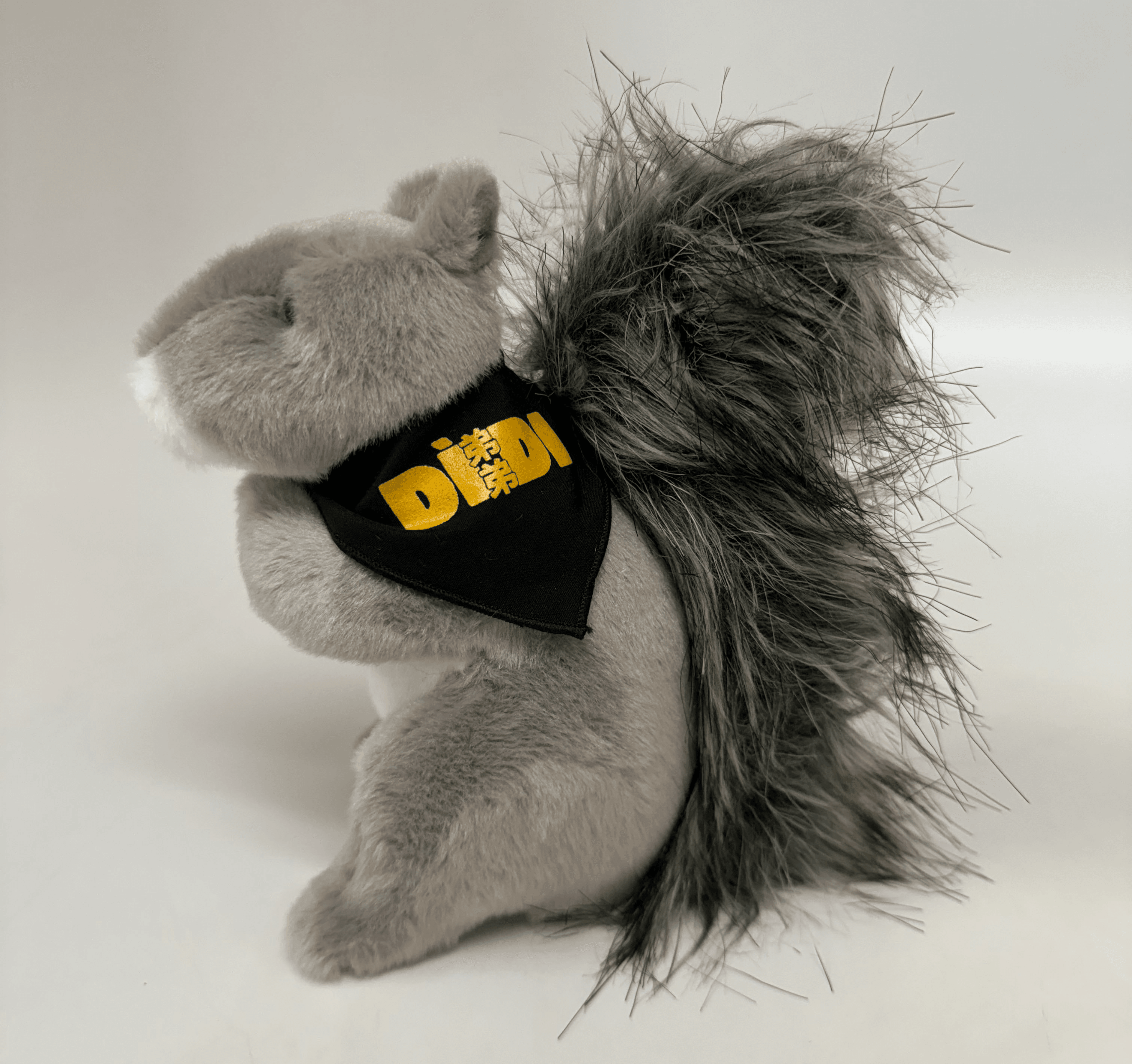 DIDI Squirrel.png