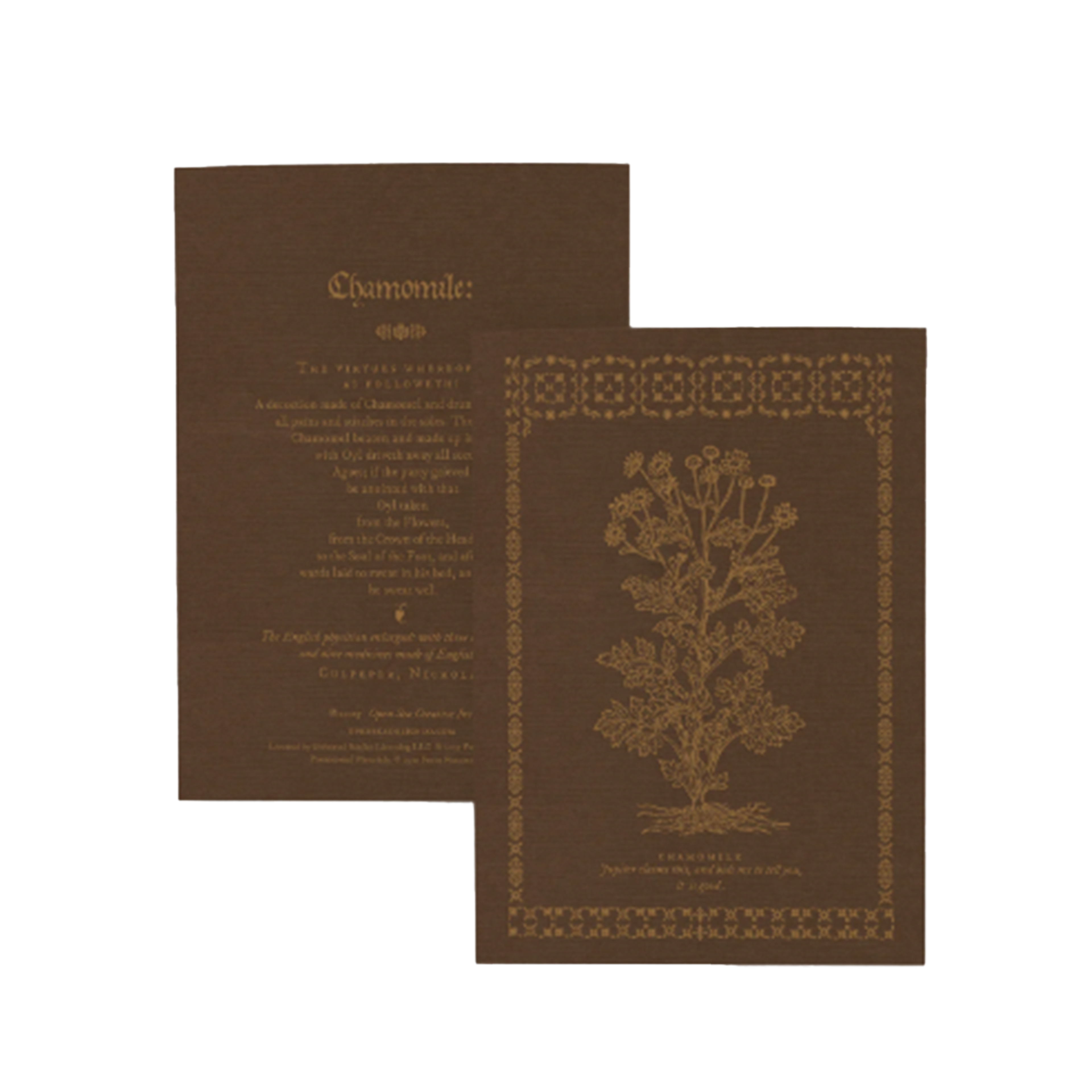 Hamnet Brown Notebook.png