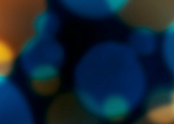 Focus Bokeh.jpg