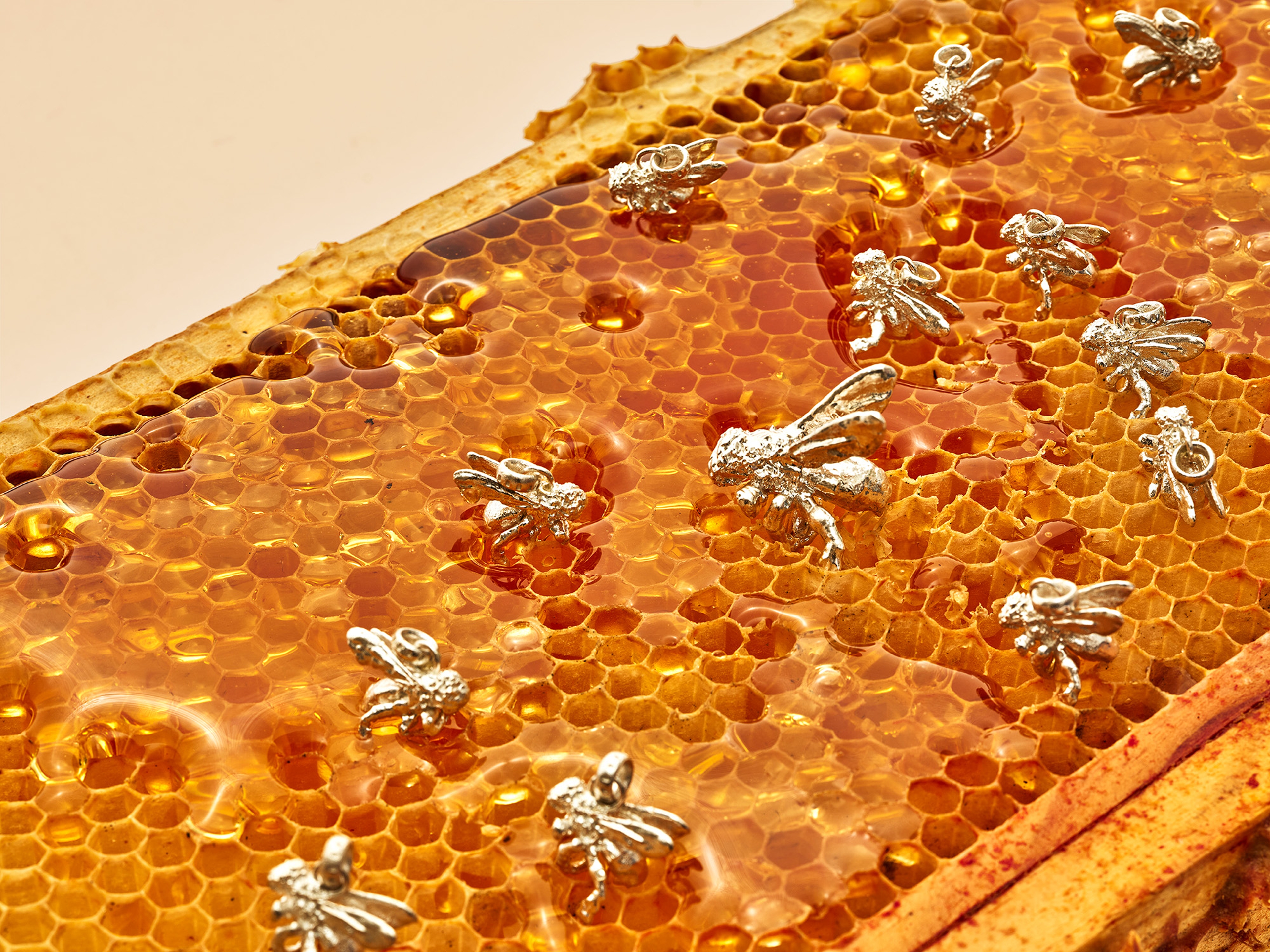 25-10-06_FTSS_0263 (2).jpg