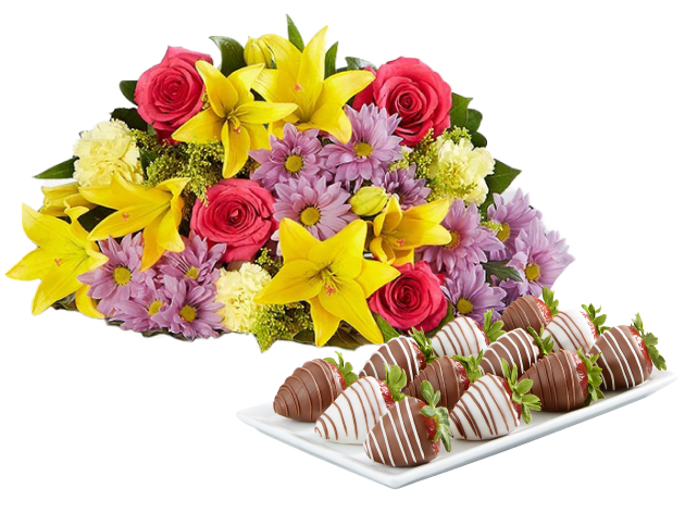 Fields of Europe For Spring