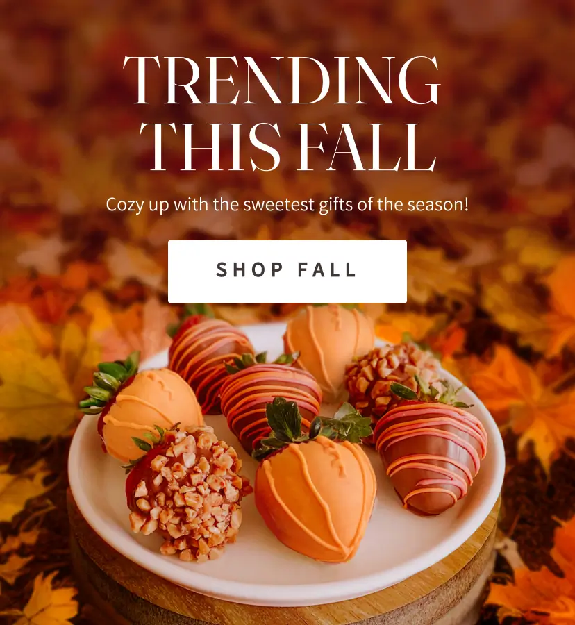 SB fy26 fall 828x900 1