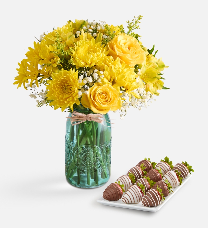 Sunshine Bundle