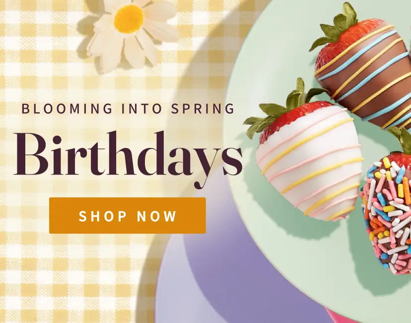 SB March Bday fy25 mobile hero