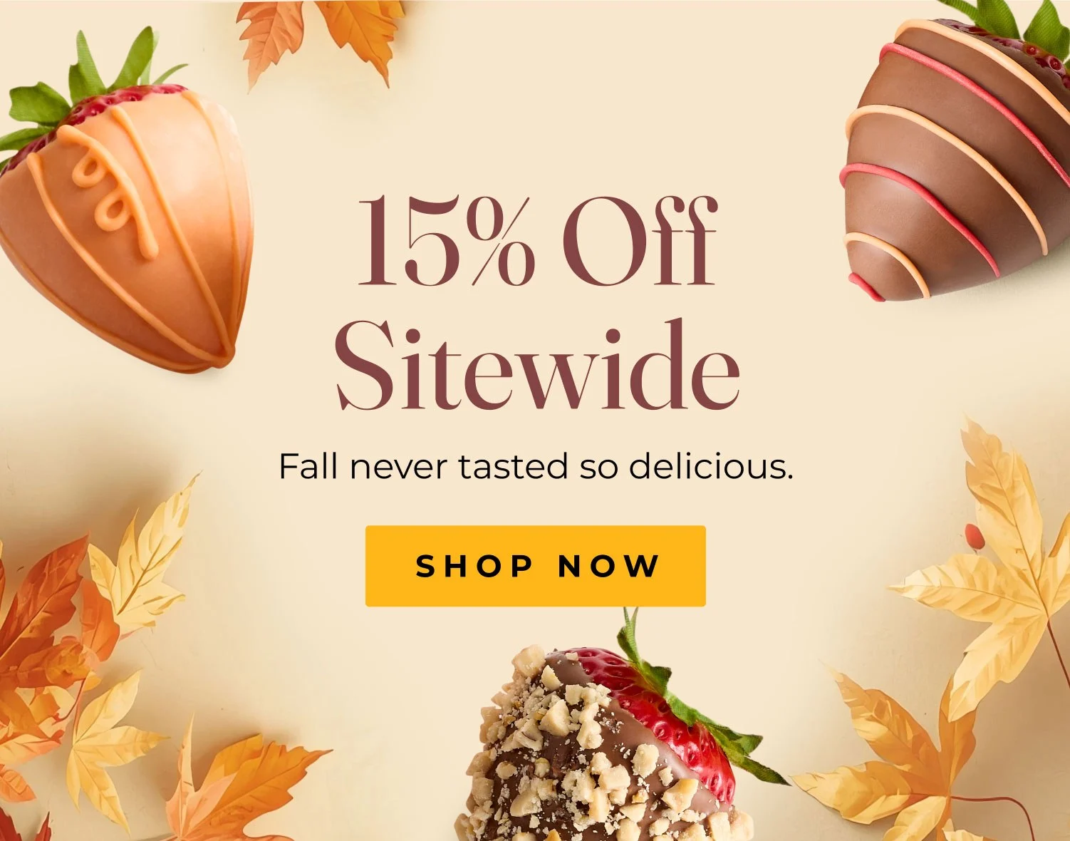 m  sharis berries 15p sitewide hero fy27 fall