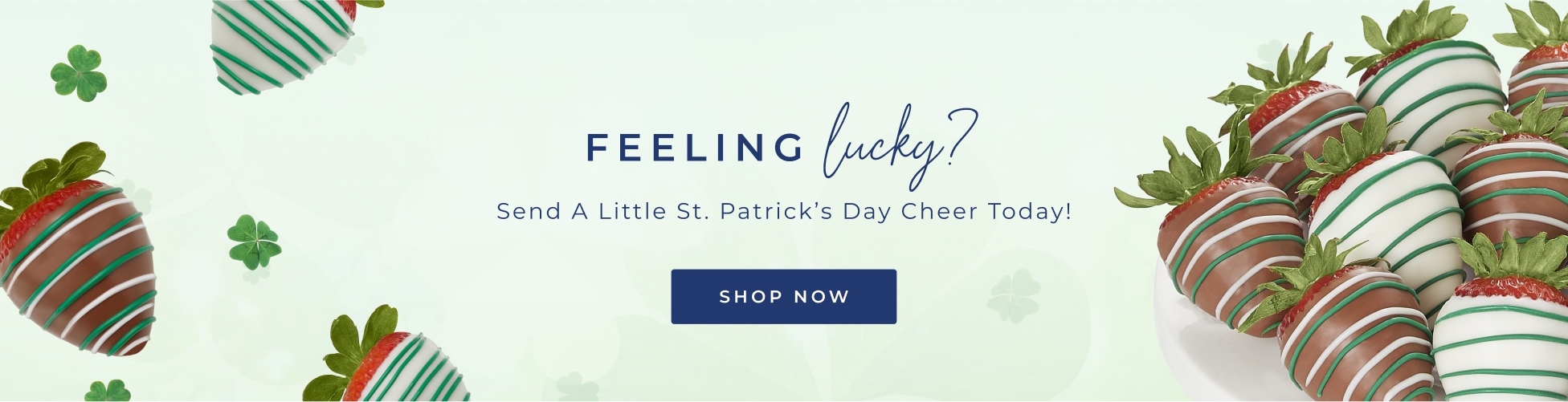 Chocolate Dipped Strawberries & Chocolate Covered Fruit Shari's Berries