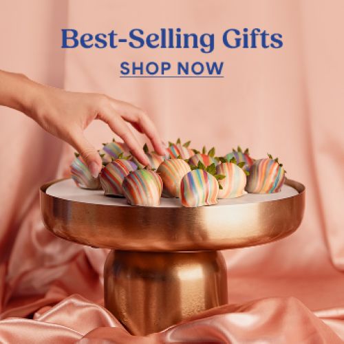 fy26 passport member offer sb