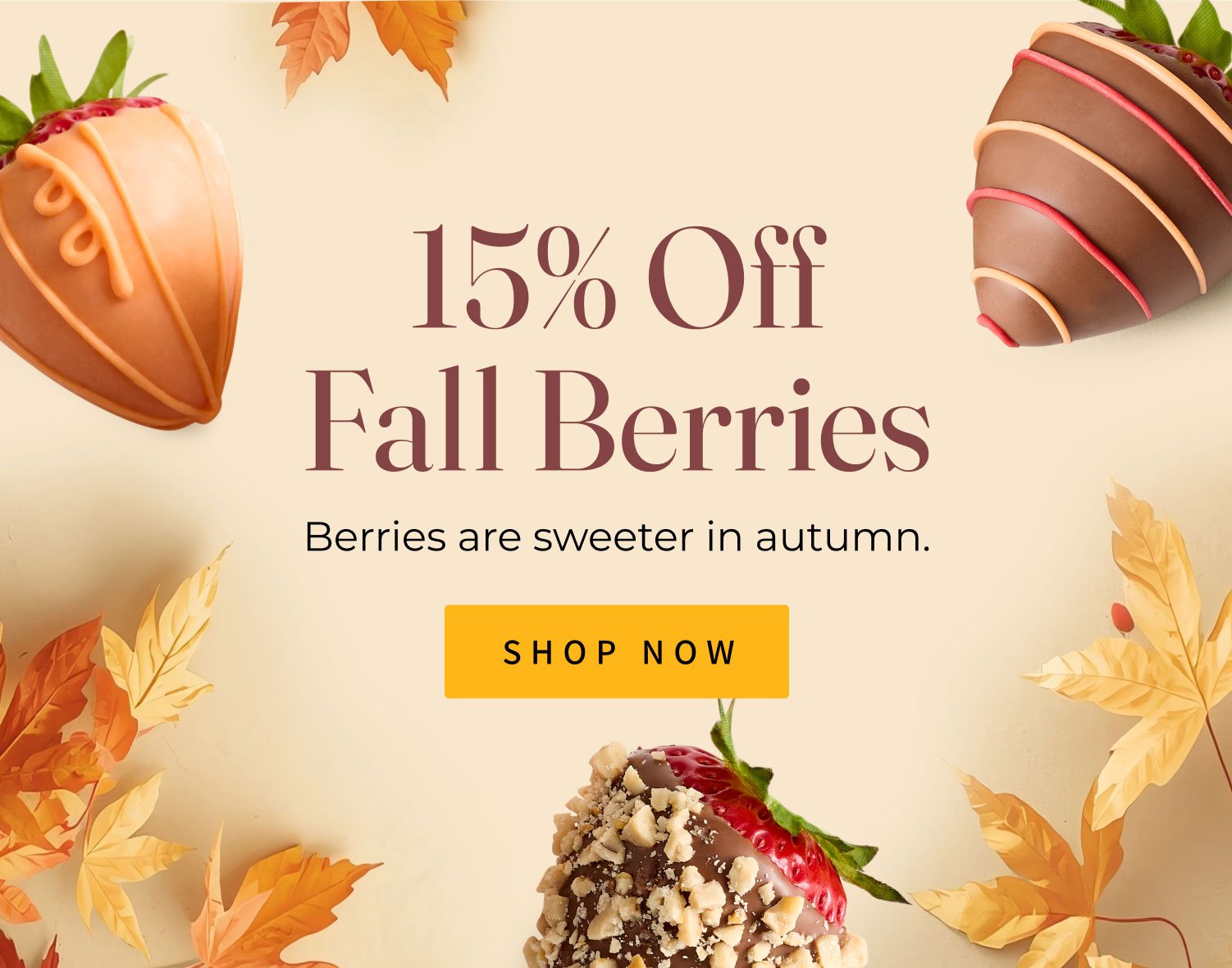m sharis berries 15p hero fy27 fall