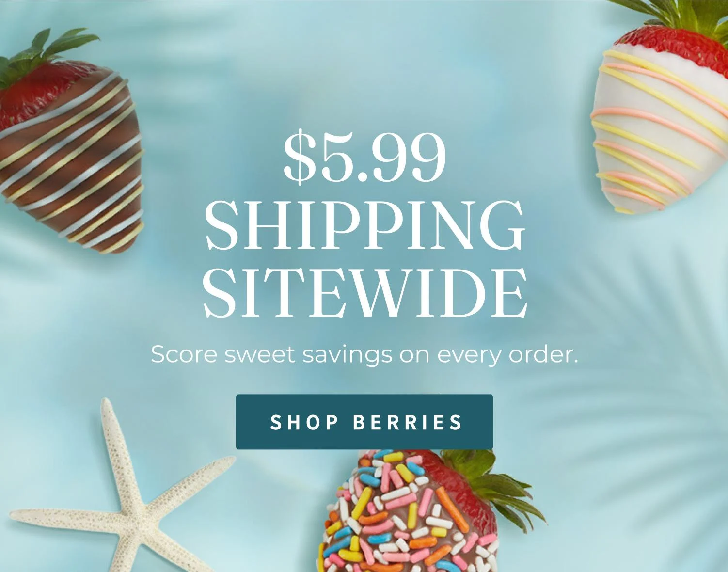 m sharis berries 599 shipping hero fy27 summer