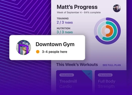 The Af App From Anytime Fitness