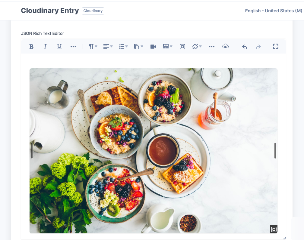 Cloudinary-JSON_RTE_Field-Image.png