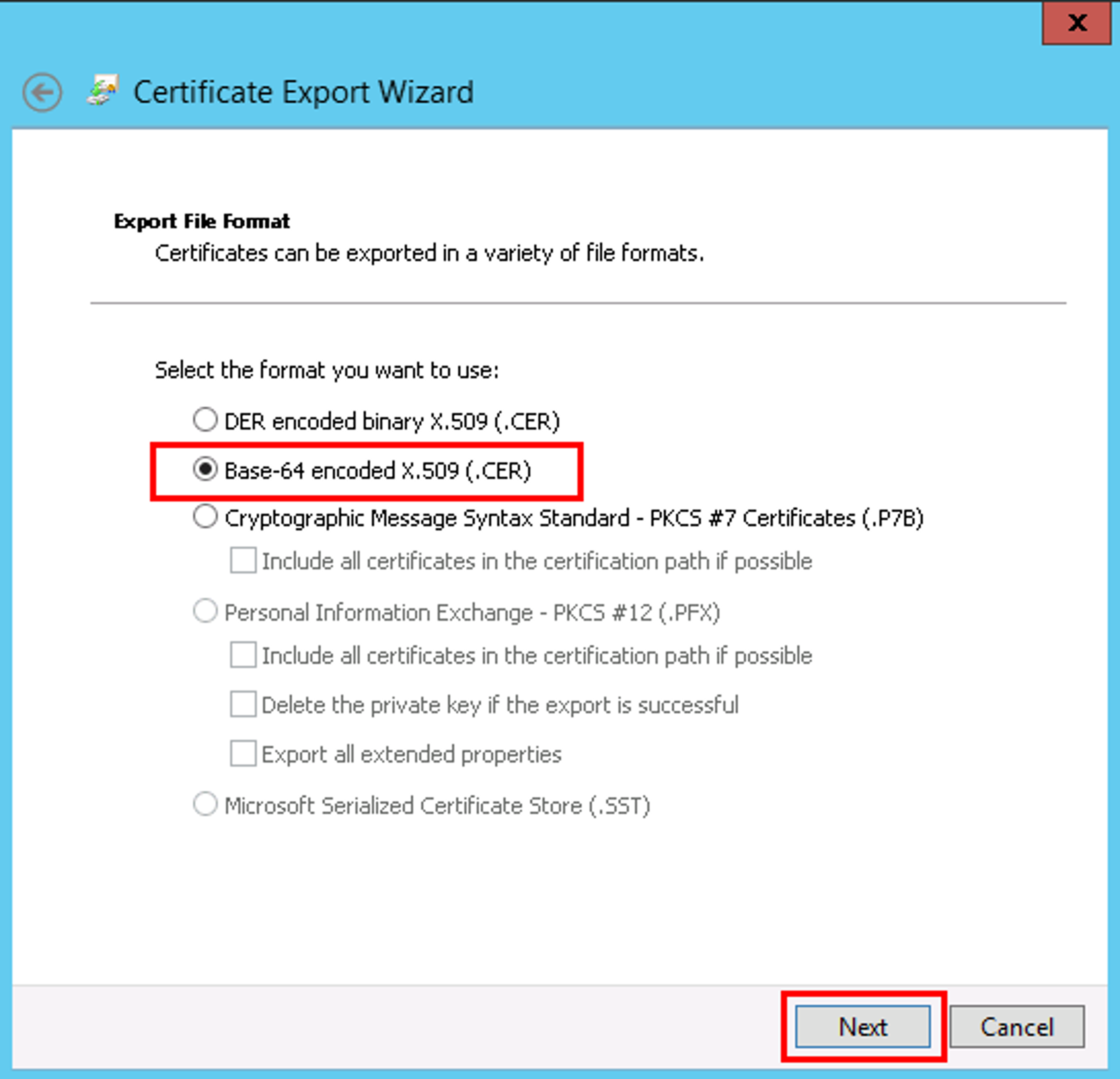 step-16-b-download-cert.png