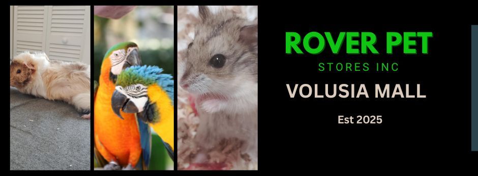Rover Pet Stores