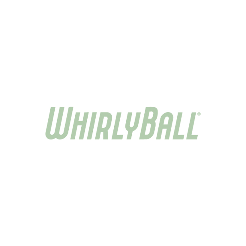 WhirlyBall at brookfield square