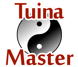 Tui Na Master