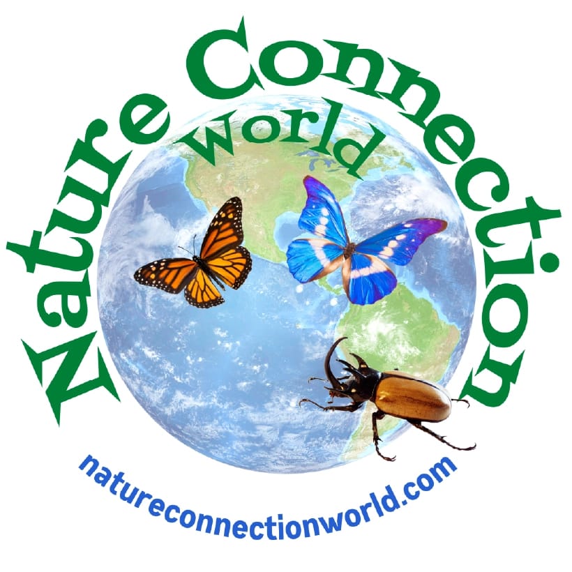 Nature Connection World Logo