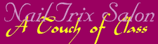 Logo of Nail Trix