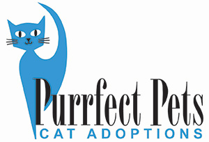 Purrfect Pets