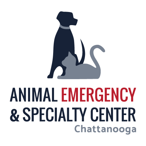 Animal Emergency & Specialty Center Chattanooga