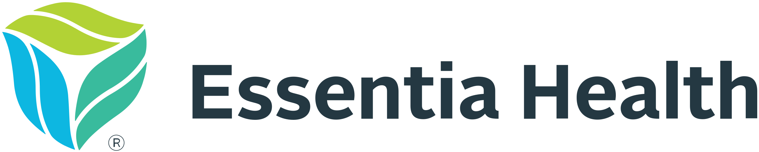 Essentia Health Kirkwood Clinic
